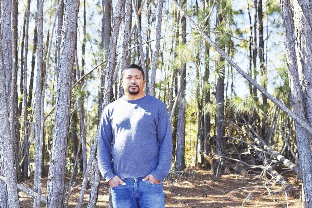 N. Madeiras Comercio