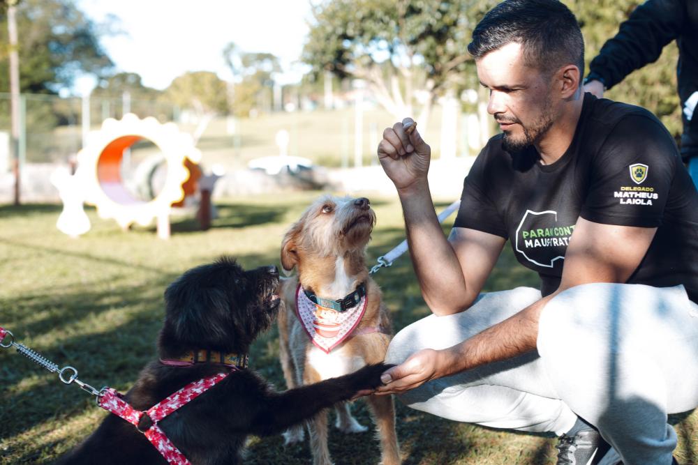 Corrida Animal tem inscrições abertas até setembro